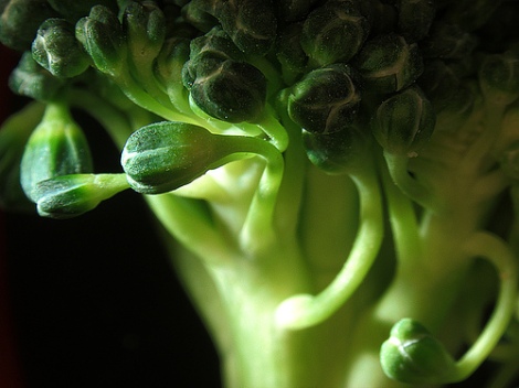 Broccoli-Super Food and Natural Smile Inducer.